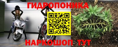 apvp Лесосибирск