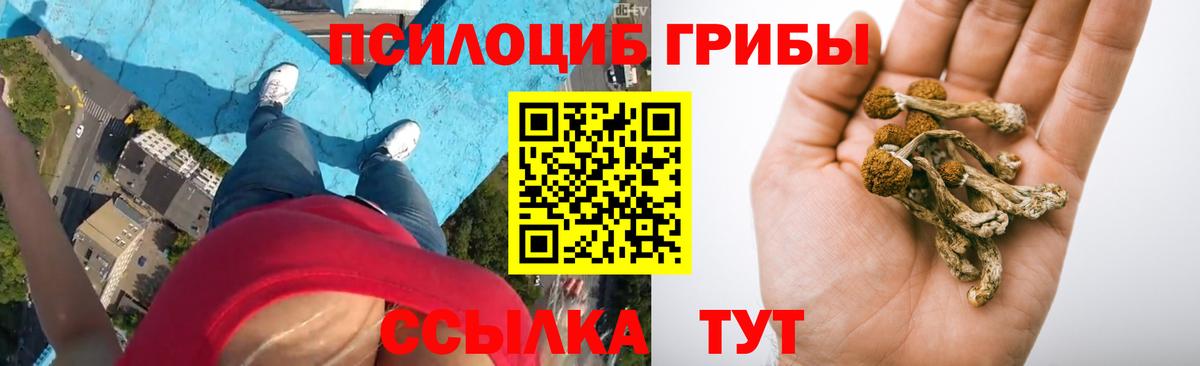 Галлюциногенные грибы прущие грибы Чебоксары